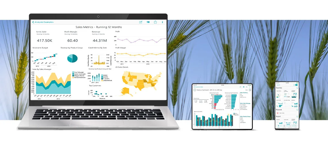 Laptop, Tablet und Smartphone zeigen Dashboards mit Diagrammen; dahinter Nahaufnahme von Ähren.