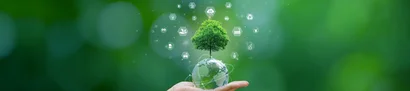 Hand hält transparente Erdkugel mit Baum vor grünem Hintergrund.