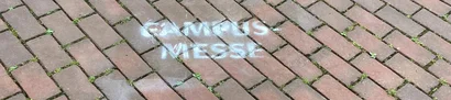Campusmesse Düsseldorf 2024 | Wegweiser auf HHU-Campus | 1905 x 425 Pixel Weißer Pfeil auf roten Pflastersteinen auf HHU-Campus zeigt den Weg zur Campusmesse Düsseldorf 2024