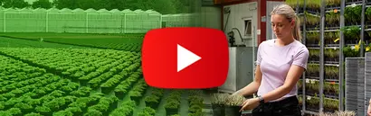 Bei Jeddeloh in der Baumschule Snippet Referenzvideo zu Jeddeloh: Blonde Frau in Baumschule räumt Pflanzentöpfe ein.